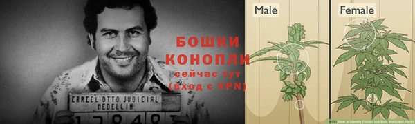 эйфоретик Зеленокумск