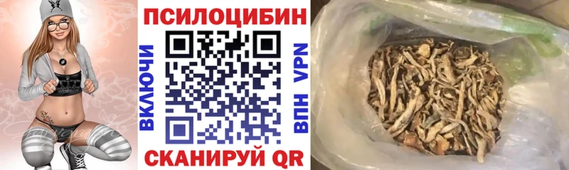 Псилоцибиновые грибы мухоморы  Купить  Щигры 