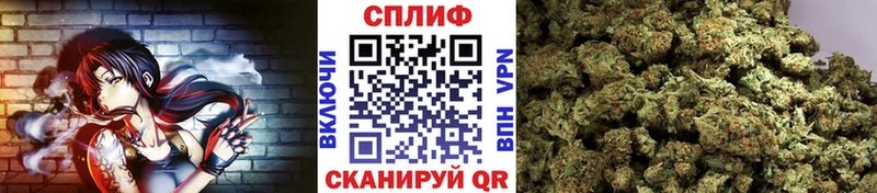 Каннабис ГИДРОПОН Щигры